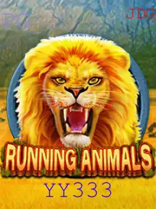 Tudo Sobre RunningAnimals: O Jogo Que está Conquistando Novos Jogadores